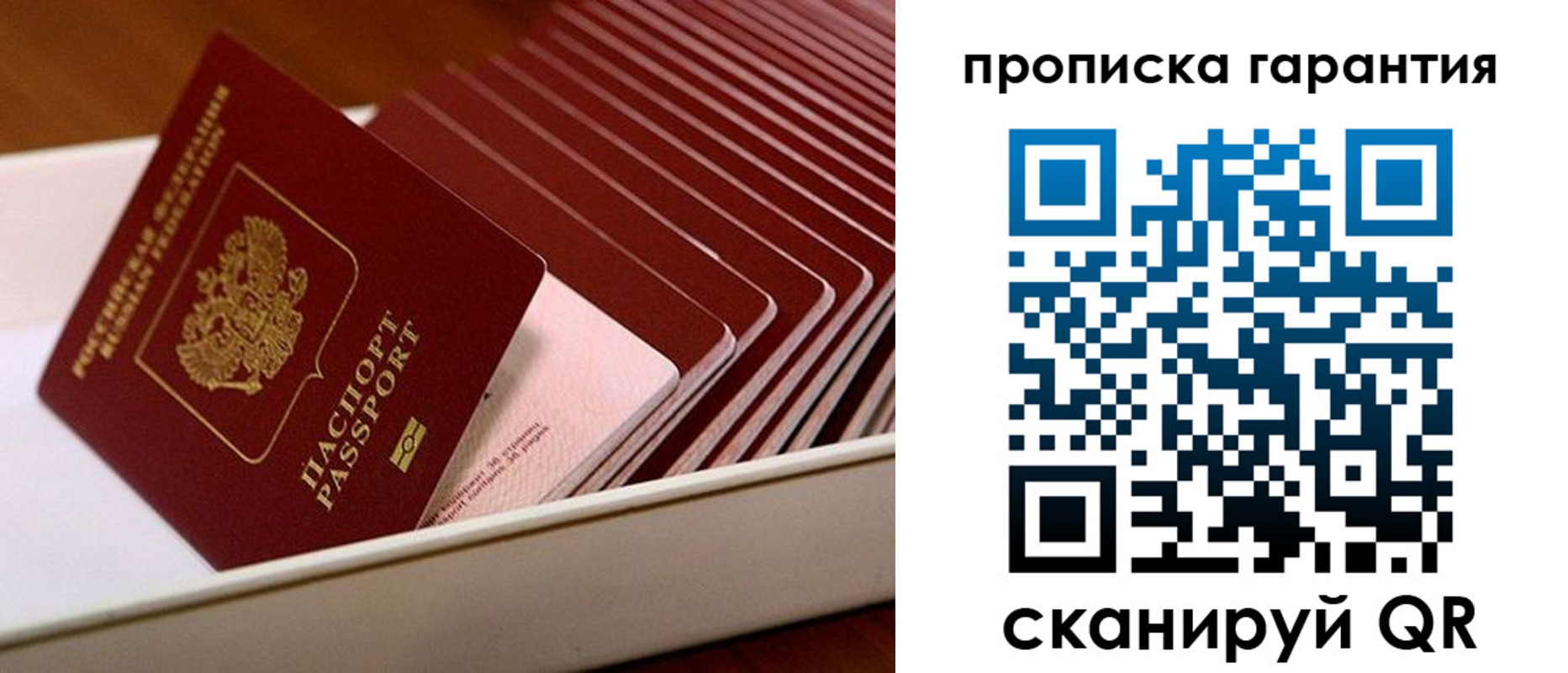 прописка поиск в Гвардейске